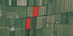 Spinweg, 4155JM Gellicum